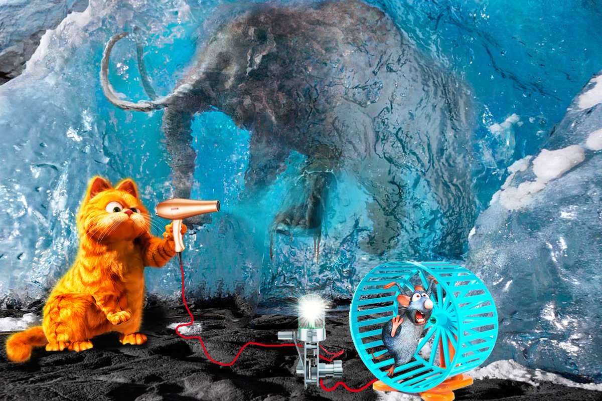 #пчолархивнае