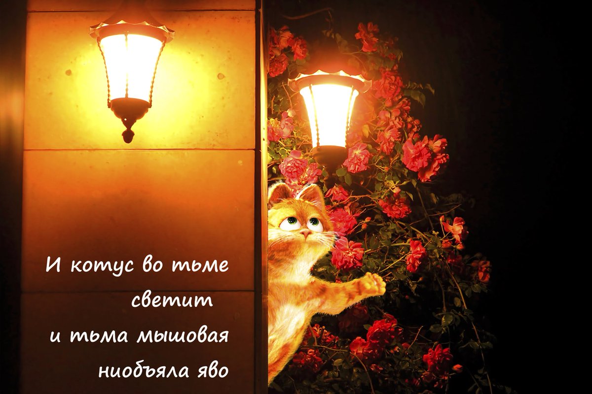 #пчолархивнае