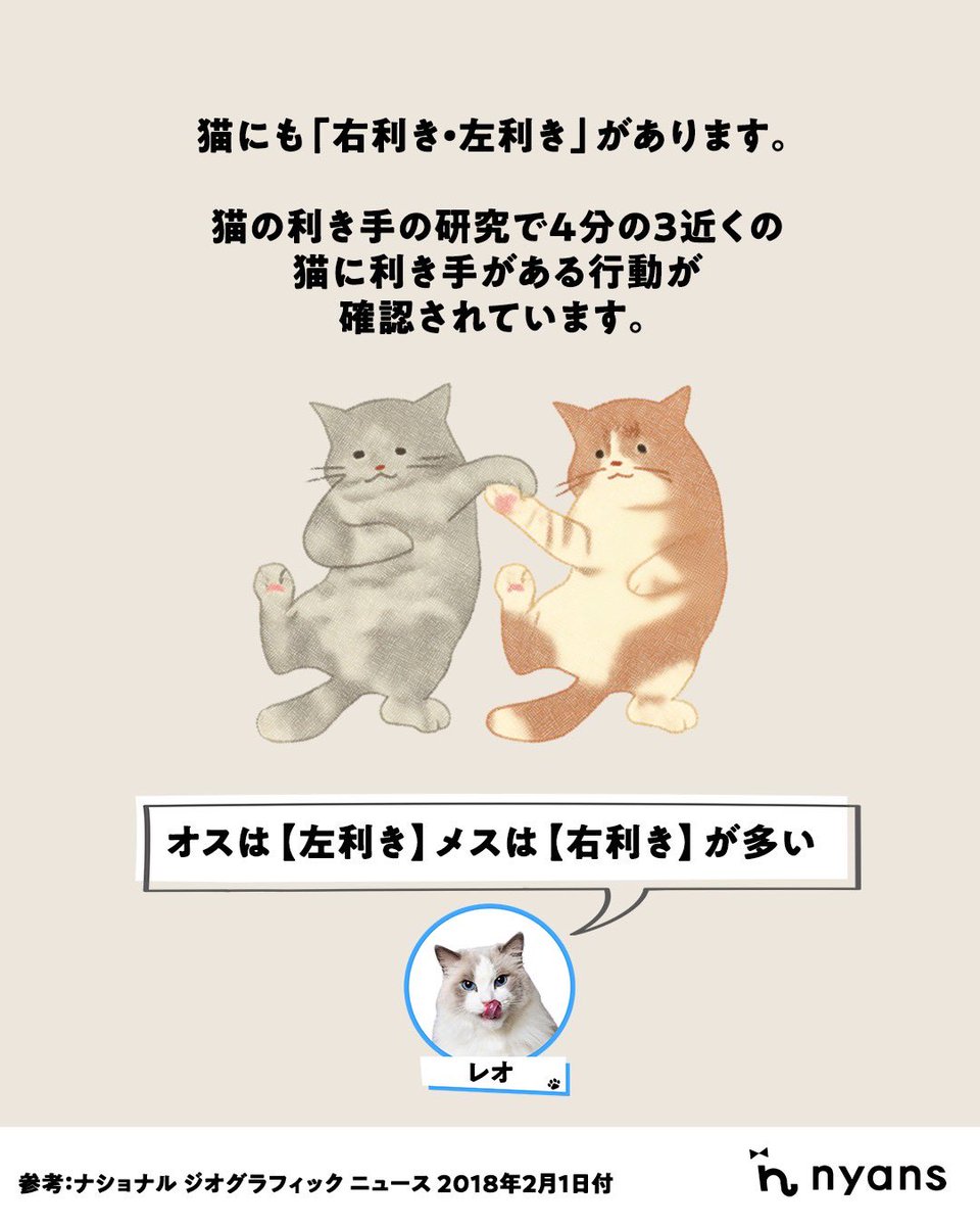 猫のためのnyans【公式】 (@nyansinc) / X