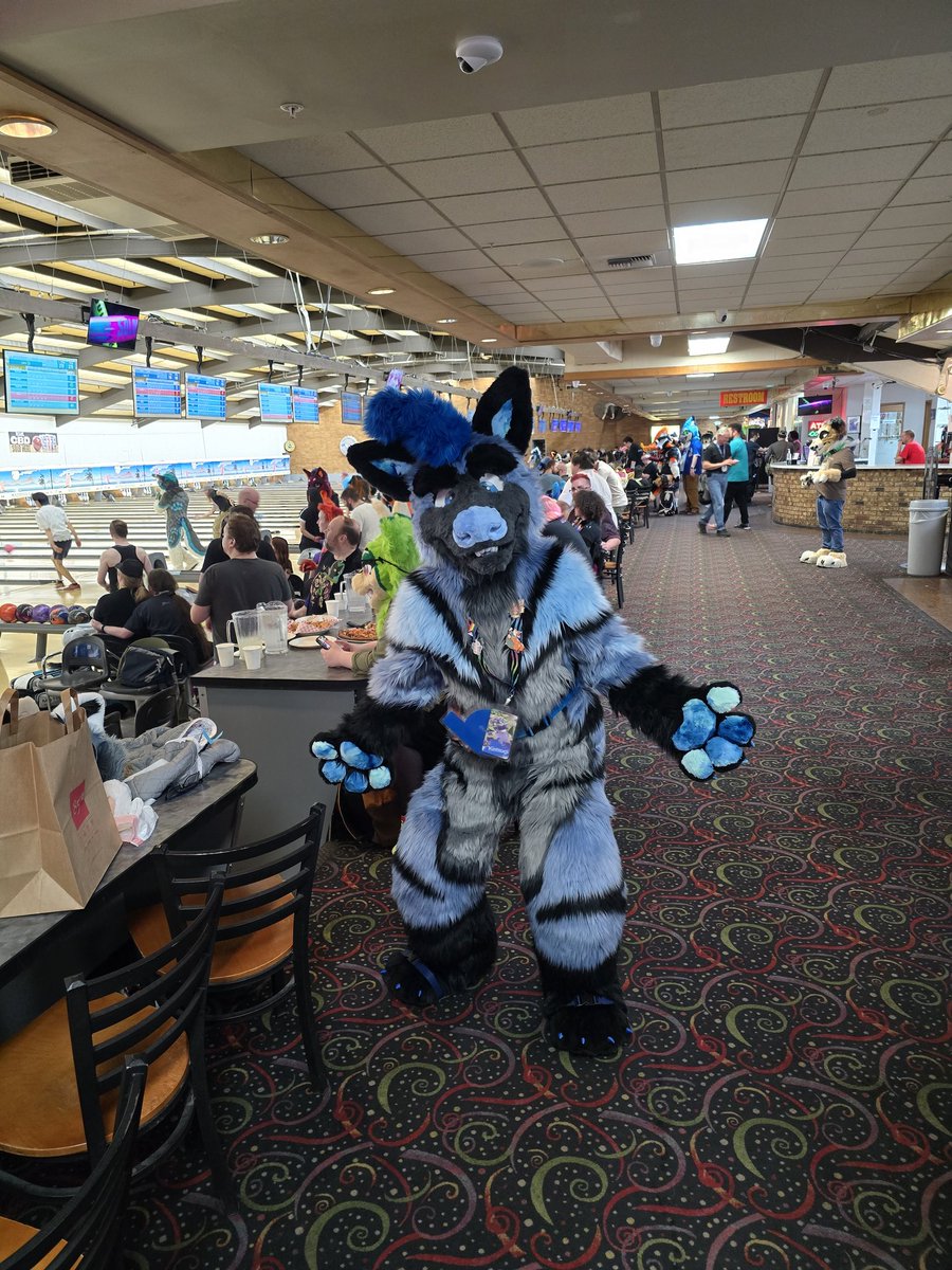 LindTheLost's tweet photo. I know im a bit late But here some photos of when furballs strike 53 https://t.co/3UYGzhf1mH