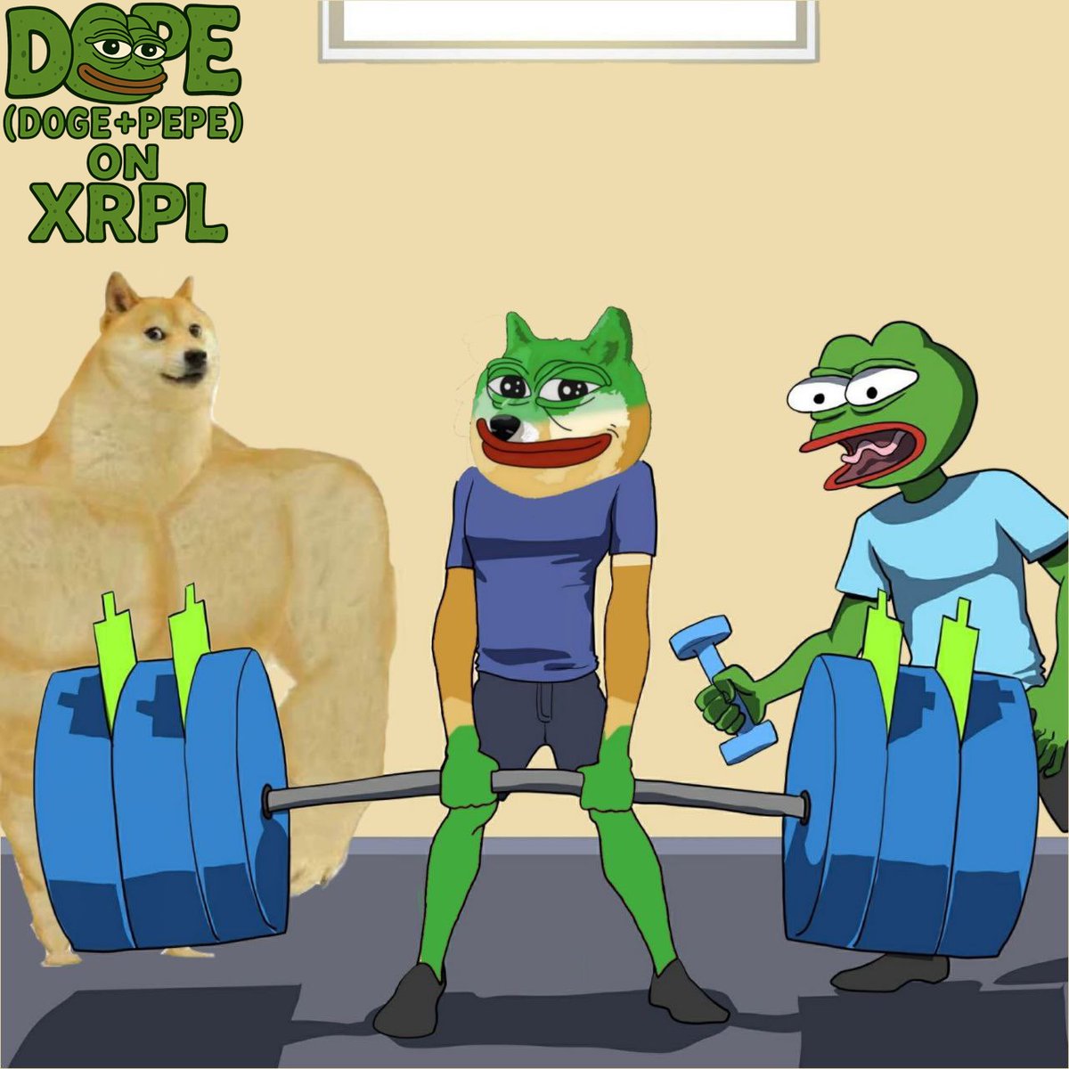 DOPE (@dopexrp) on Twitter photo 