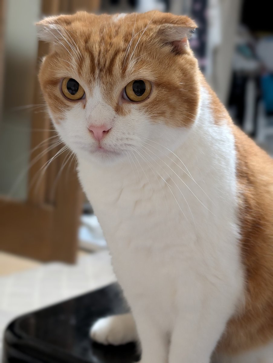 おはようございます♥