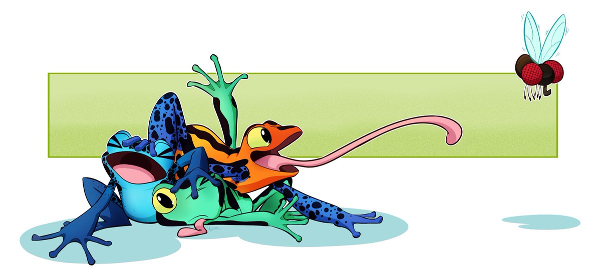 skylercraft16's tweet photo. I love these poison dart frogs @AshMichelleSims made for me (commission). #poisondartfrog #comissions #frog https://t.co/yNgjAxX6bt
