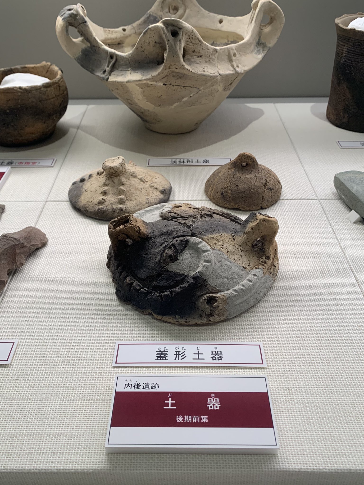 【美品】十日町市史　全巻セット　14巻セット　新潟県　十日町市史編さん委員会 美品】十日町市史 全巻セット 14巻セット 新潟県 十日町市史編さん