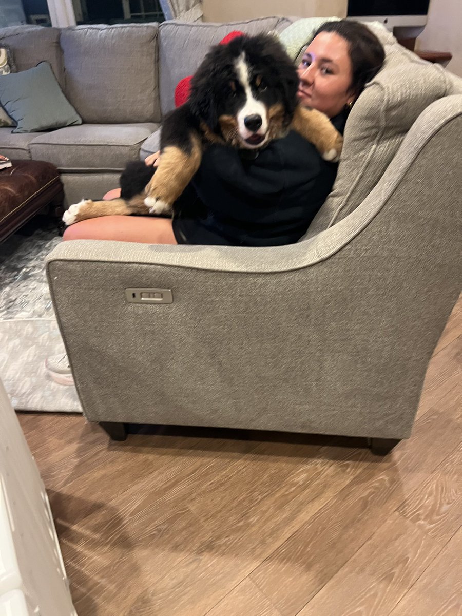 My daughter and Bear having a good night