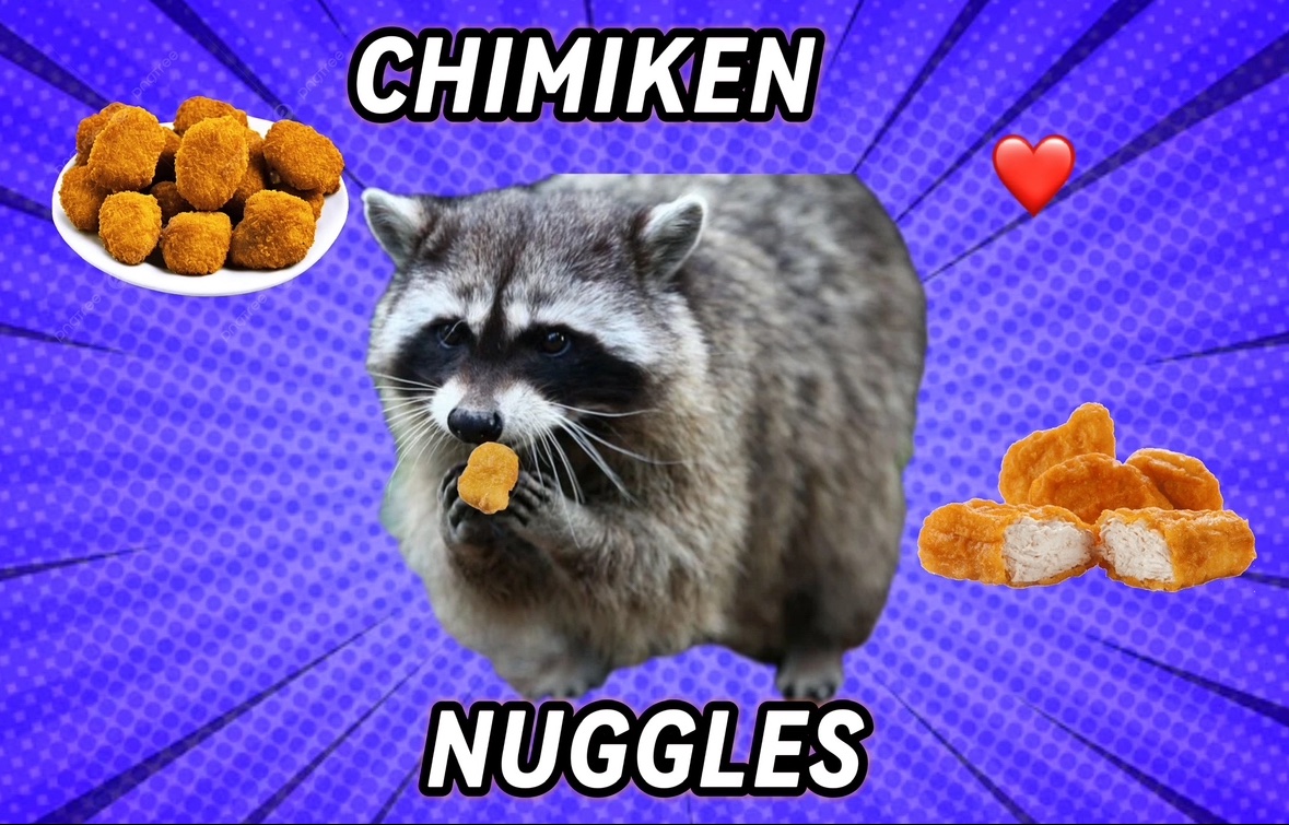 raccoon aesthetic. (@raccoonesthetic) on Twitter photo 