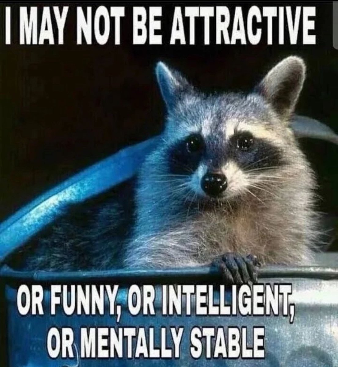 raccoon aesthetic. (@raccoonesthetic) on Twitter photo 