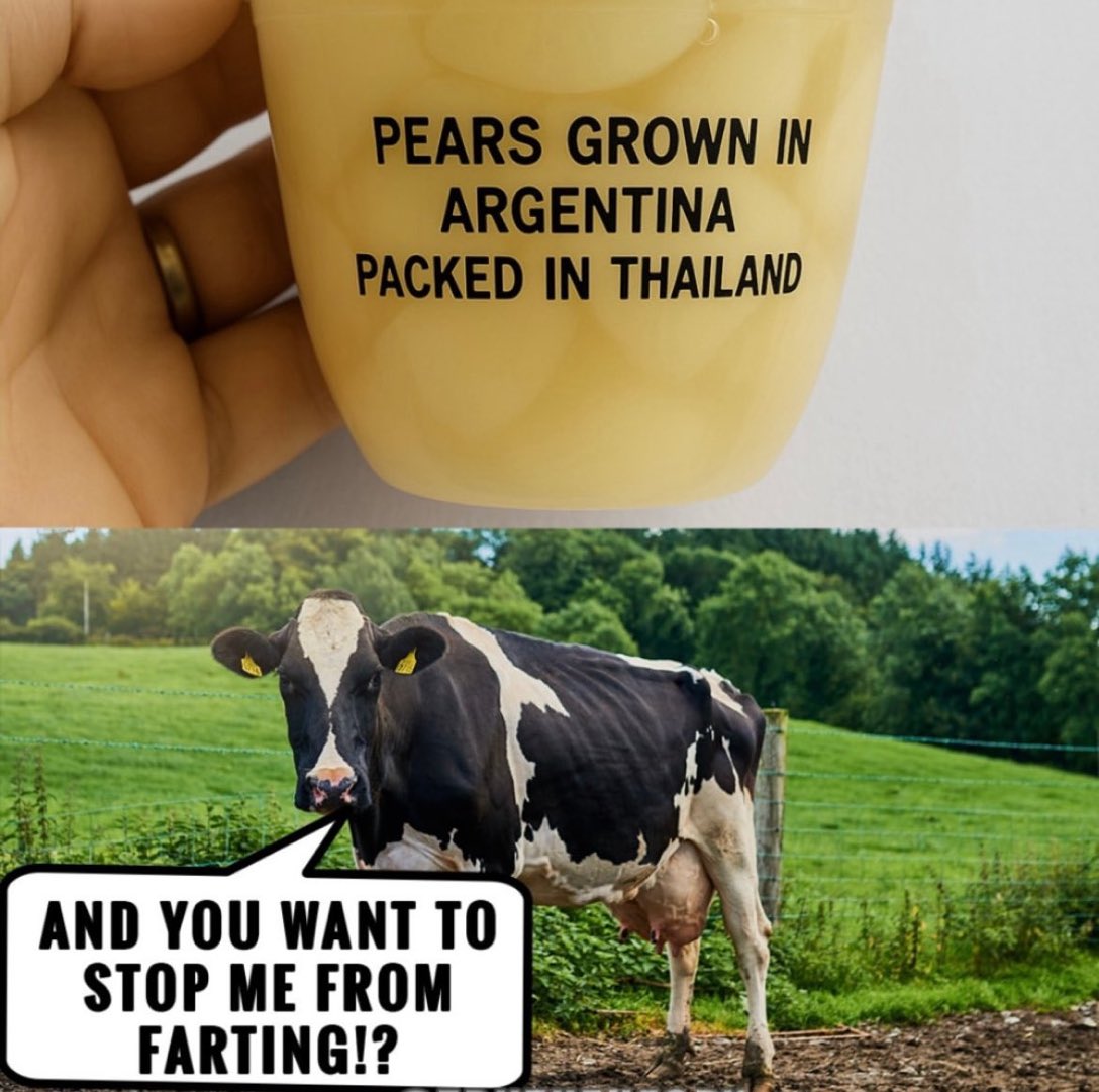 Our governments have LOST THE PLOT