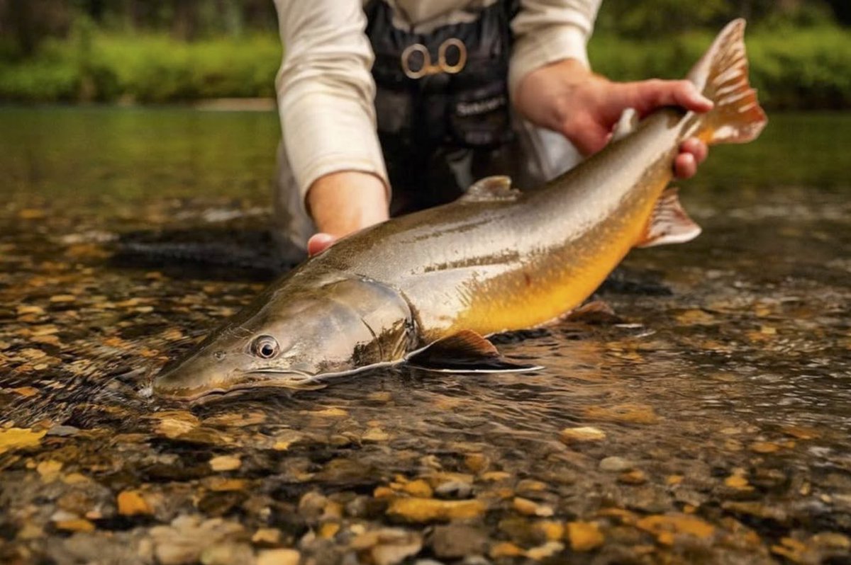 RepYourWater tweet media