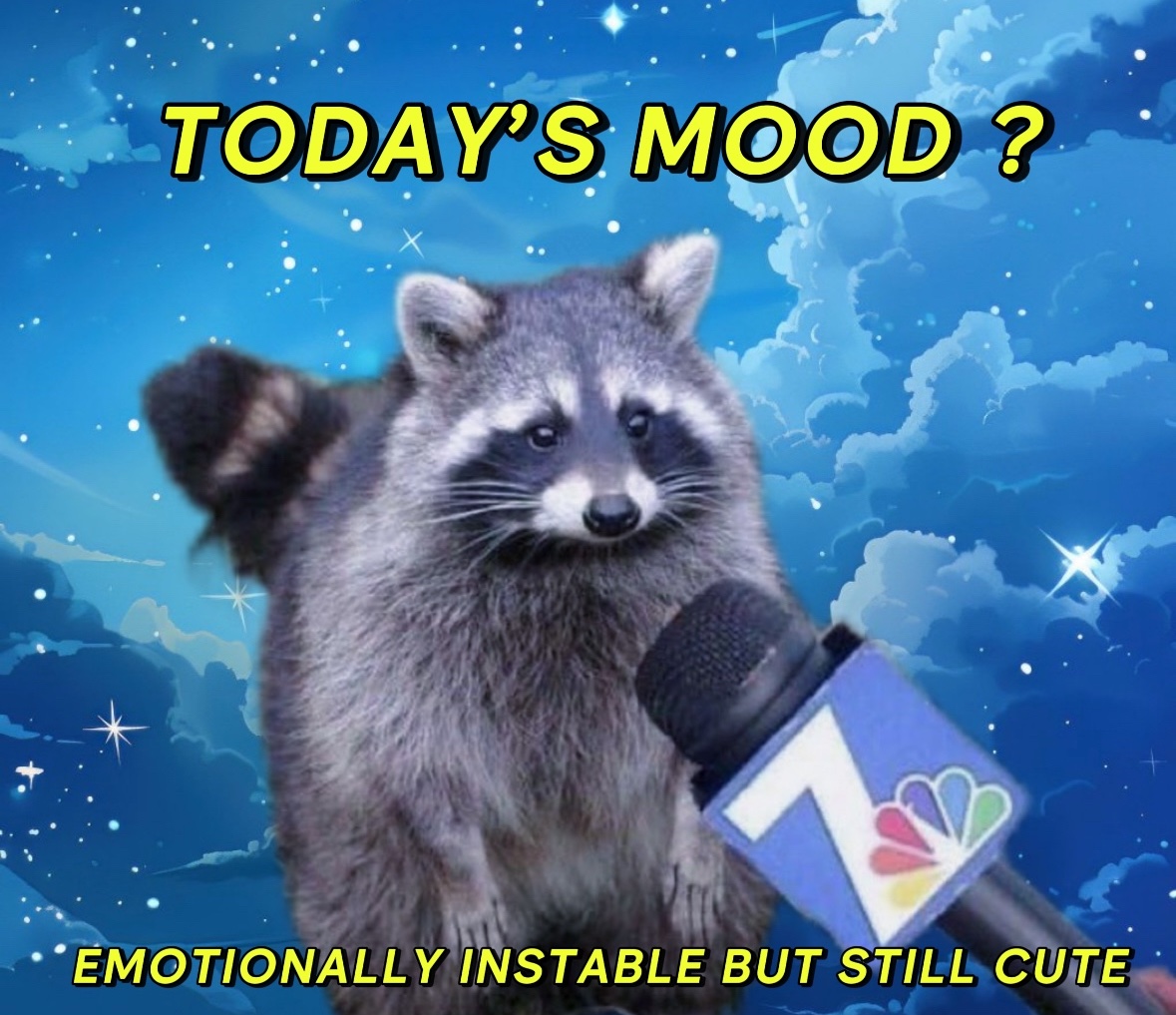 raccoon aesthetic. (@raccoonesthetic) on Twitter photo 