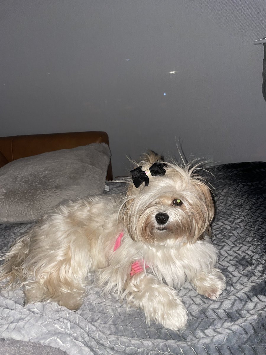 Modo EMO… 🤘🏼