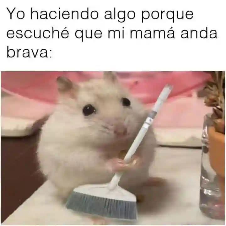 El Meme tweet media