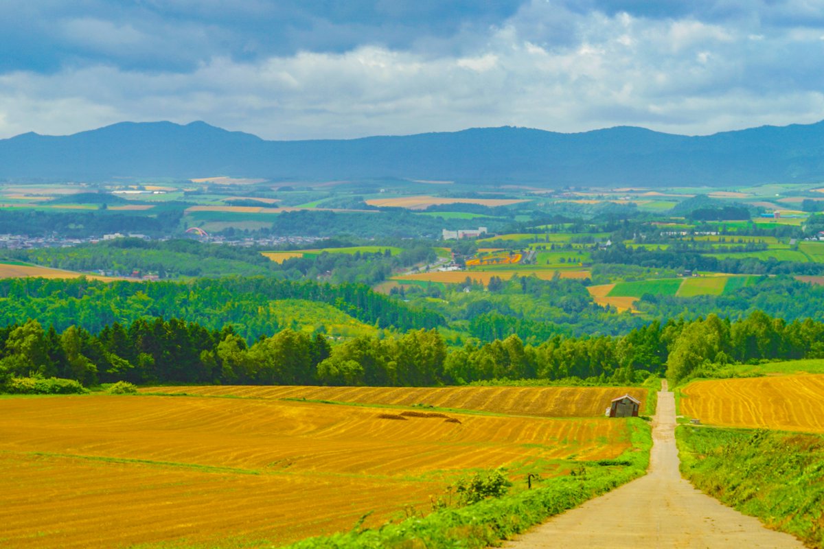 【就実の丘(しゅうじつのおか)@旭川市】

旭川市の「西神楽地区」にある穴場的絶景スポット。

丘陵地帯を見渡せるほか、ジェットコースターのようなアップダウンが続く道を見られます👀

旭川空港から10分ほどの場所なので、気になる人はドライブがてらに立ち寄ってみてね。#北海道絶景