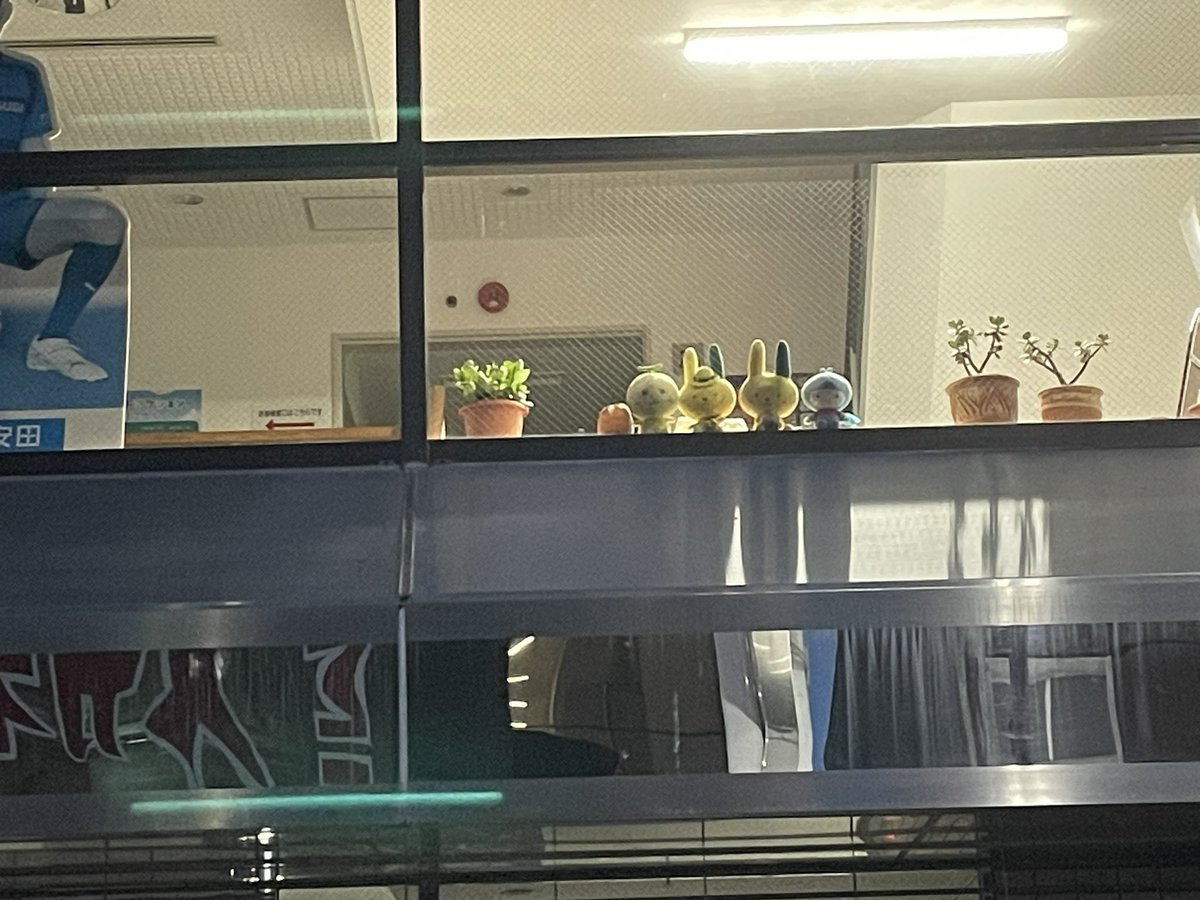 窓から通行人を監視する保険のぬいぐるみたち