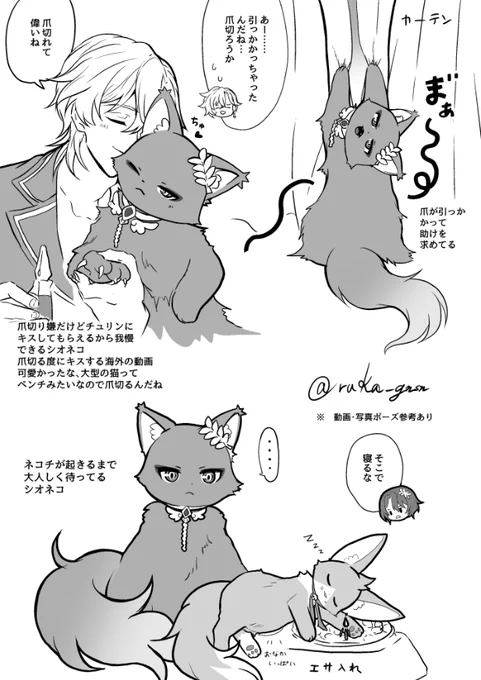 今日もレチ🐱 