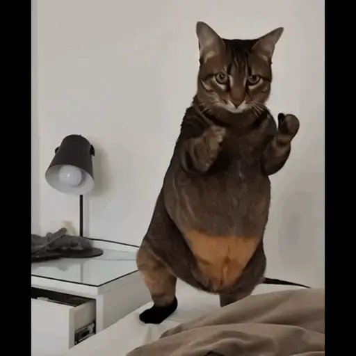 Rodrigo Bueno tweet media