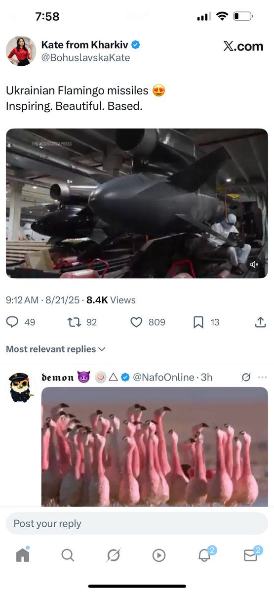 Fellas, you guys didn’t tell me how beautiful the flamingos are. These flamingos are just downright sexy now go blow some shit up.🥹