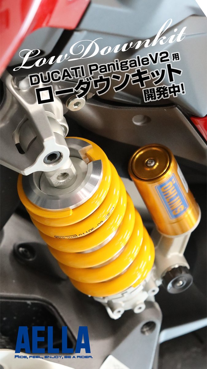 リアサスリンクロッド PANIGALE | ドゥカティ等のパーツ開発・販売 ディライト ｜ 鈴鹿市、名古屋、奈良に店舗を持つバイクのパーツ開発・販売 リア ローダウンリンクロッド ドゥカティ用 パニガーレ用 899 959 955 V2 バイク用リアサスペンションリンケージ ドロッ