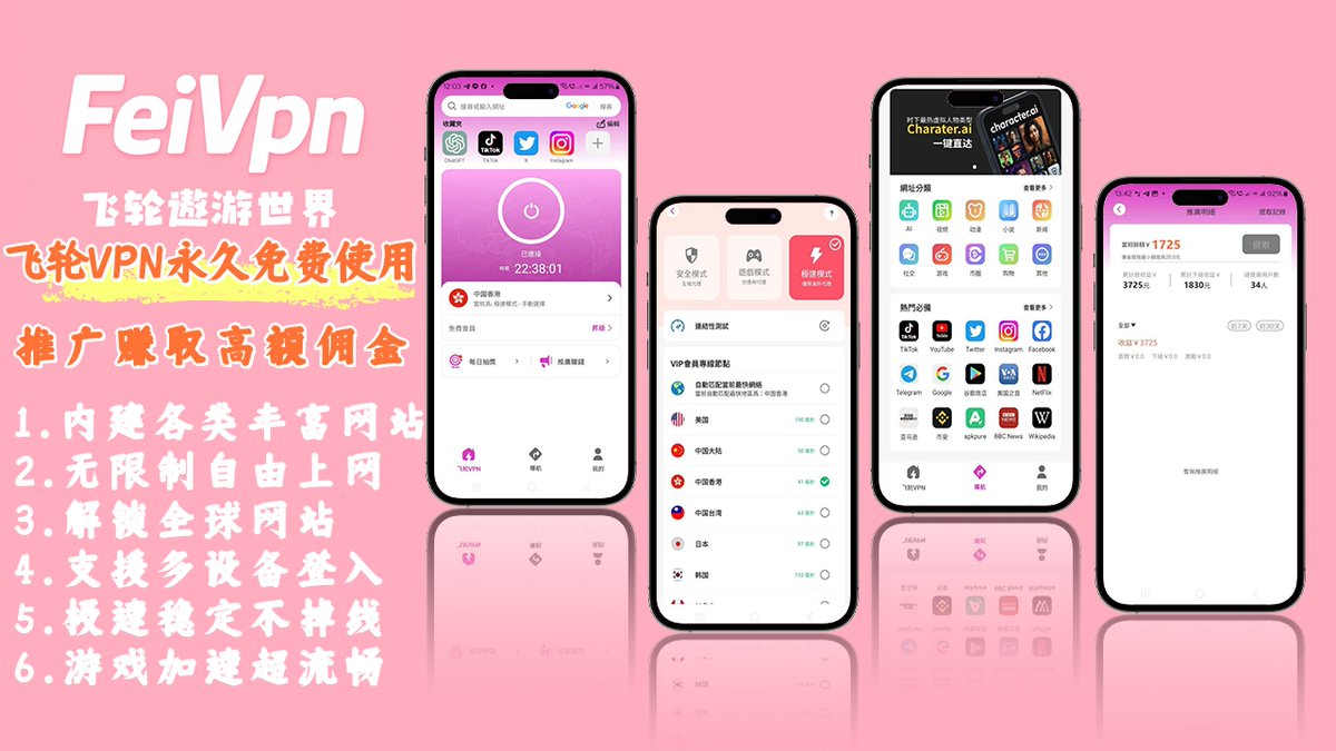 飞轮VPN tweet media