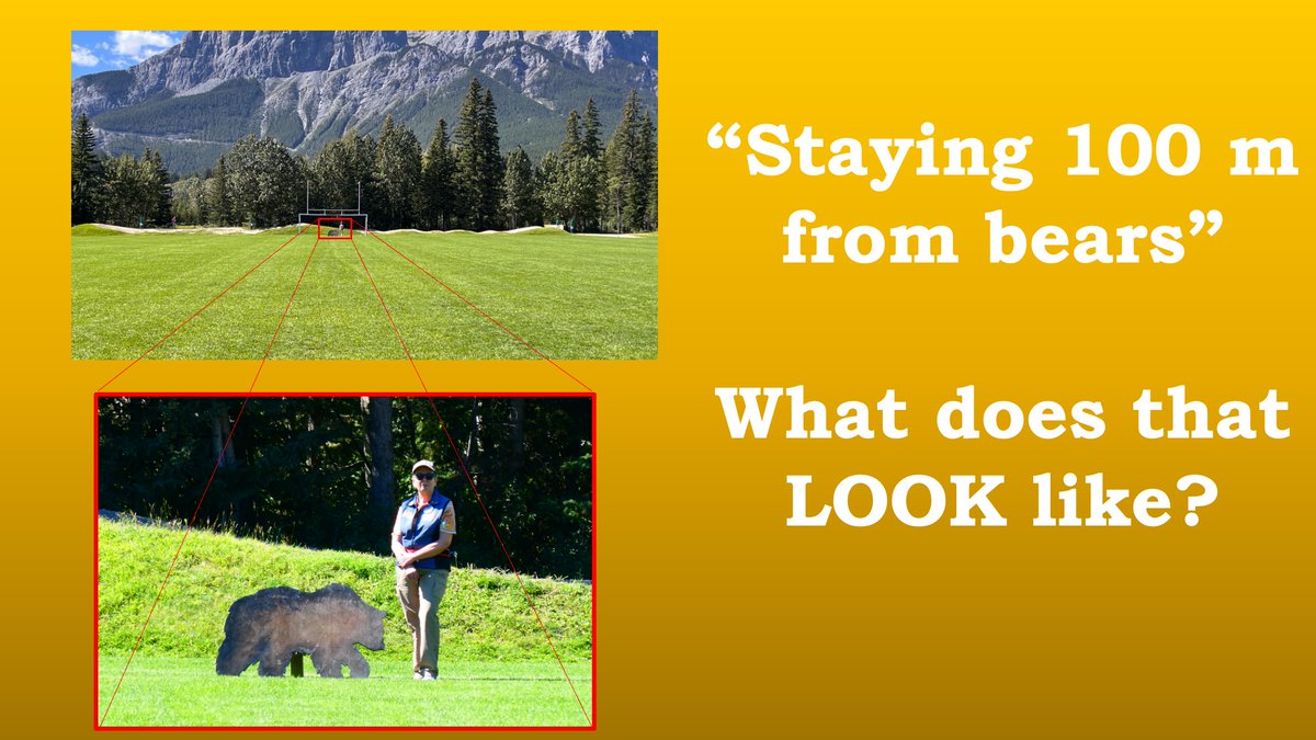 RyderDAR's tweet image. More bear videos for Bow Valley WildSmart. This one features fellow Wildlife Ambassador Karen, a big bear cut out, and is actually 1:47 (not my usual minute).
youtu.be/HWgGvR5_tK8