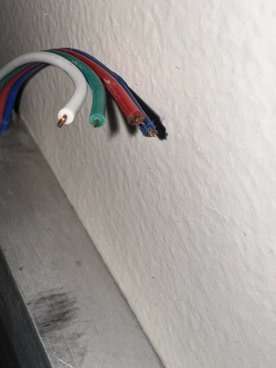 🎥 JDL4 | Co-CEO & Founder, President Mallow.ai 🥳 tweet media