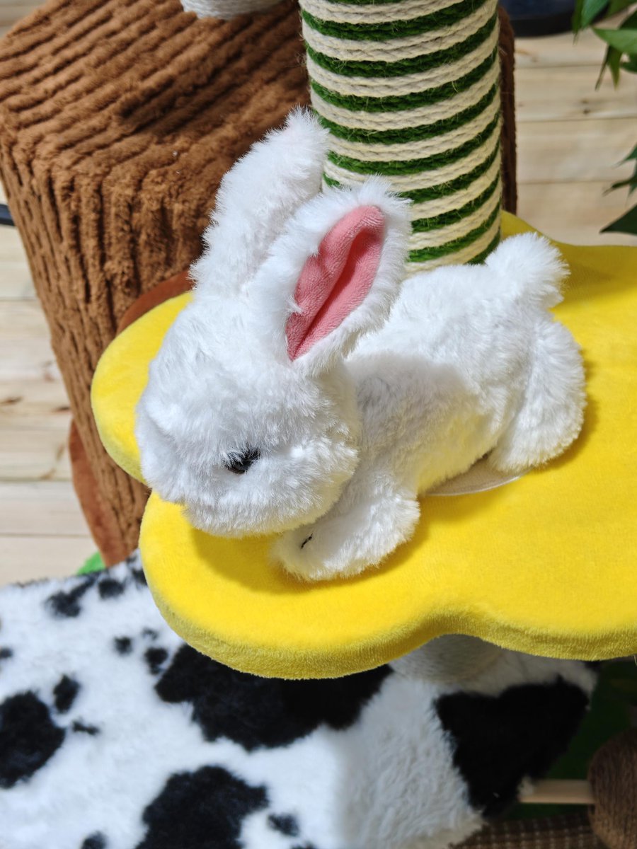 metaAnimal tweet media