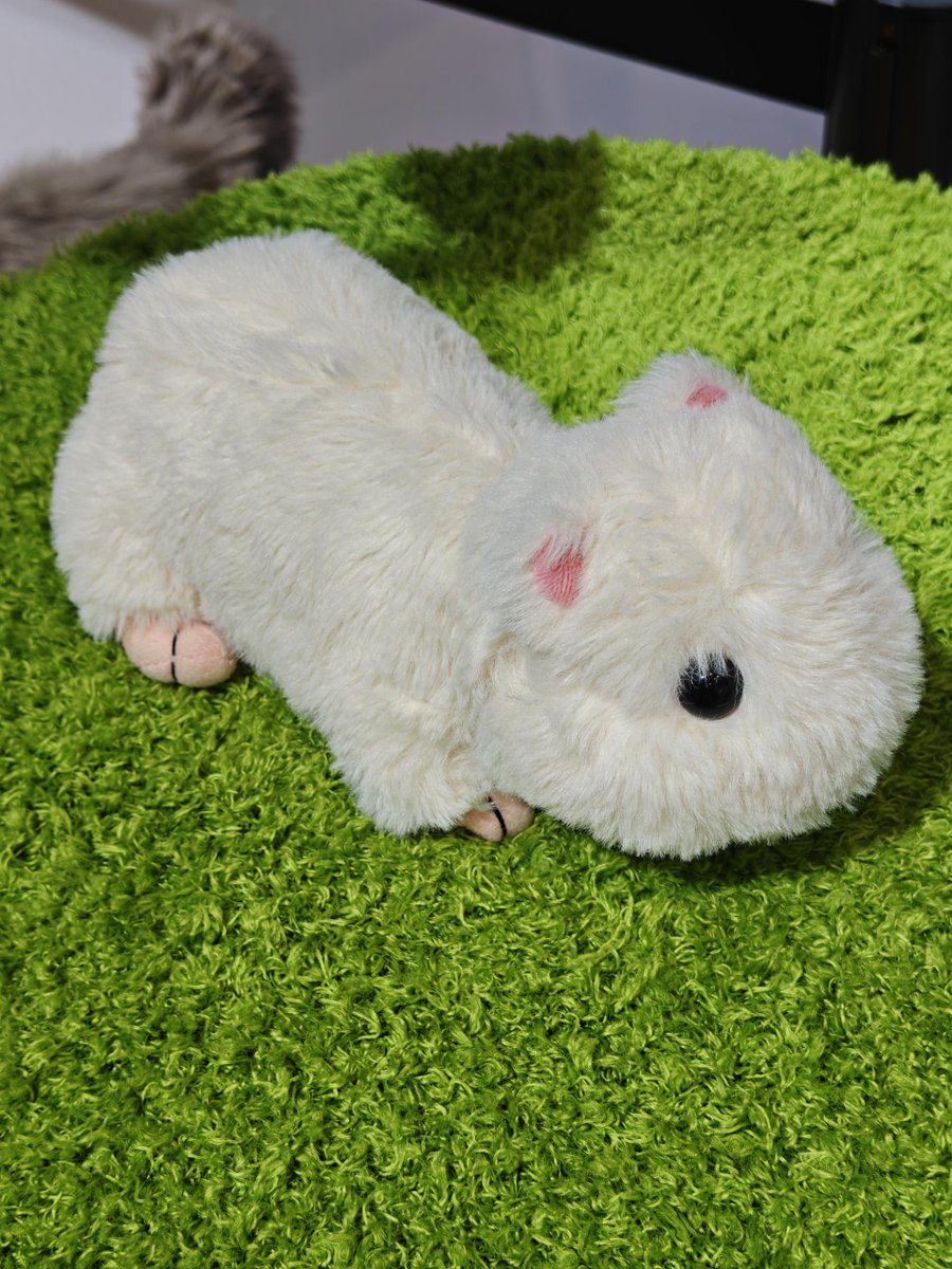 metaAnimal tweet media