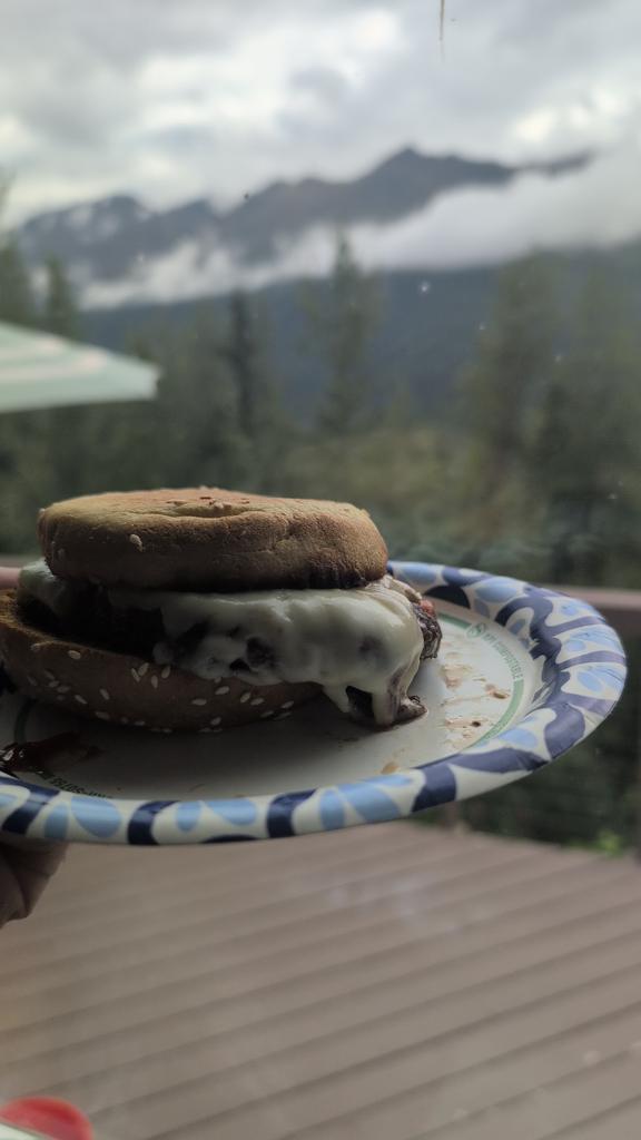 A simple 6-minute Swiss burger. for a simple kind of man. 

I fucked up and put the burger on the wrong side so it is upside down