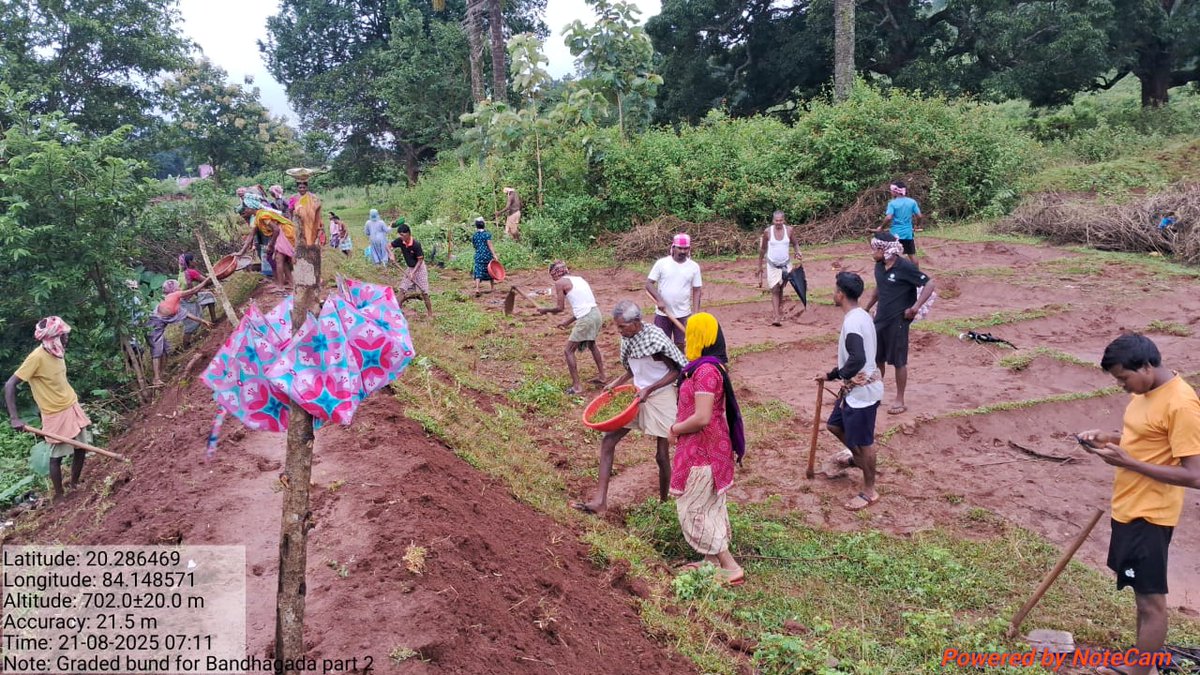 Panchayat Samiti, Phiringia tweet media