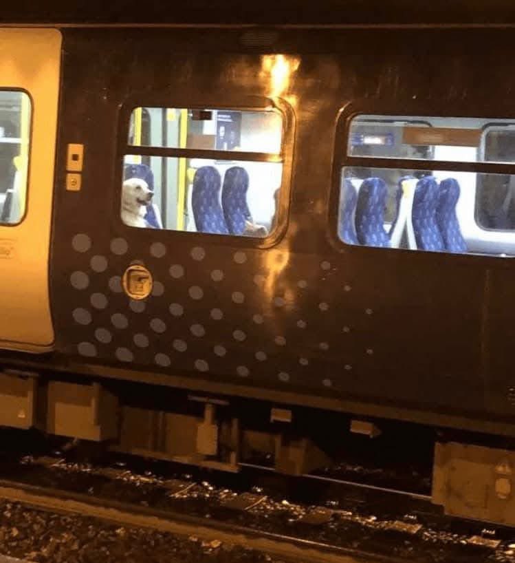 maxoakleyy's tweet photo. Wages in the scottish premiership must of been pretty poor back then for him to have to rely on public transport now https://t.co/T9XfmgovX7