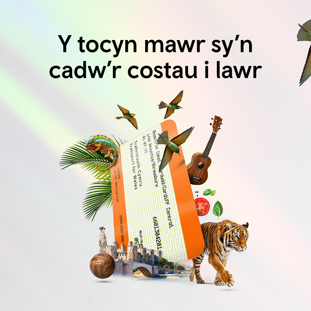 Am gynllunio ychydig mwy o deithiau dydd cyn i'r haf ddod i ben?

Cewch ostyngiadau ar gyfer atyniadau gyda thocyn trên @Transport_Wales

Dim ond dangos eich tocyn trên wrth gyrraedd.

Rhagor o wybodaeth:

trc.cymru/ffyrdd-o-deith…