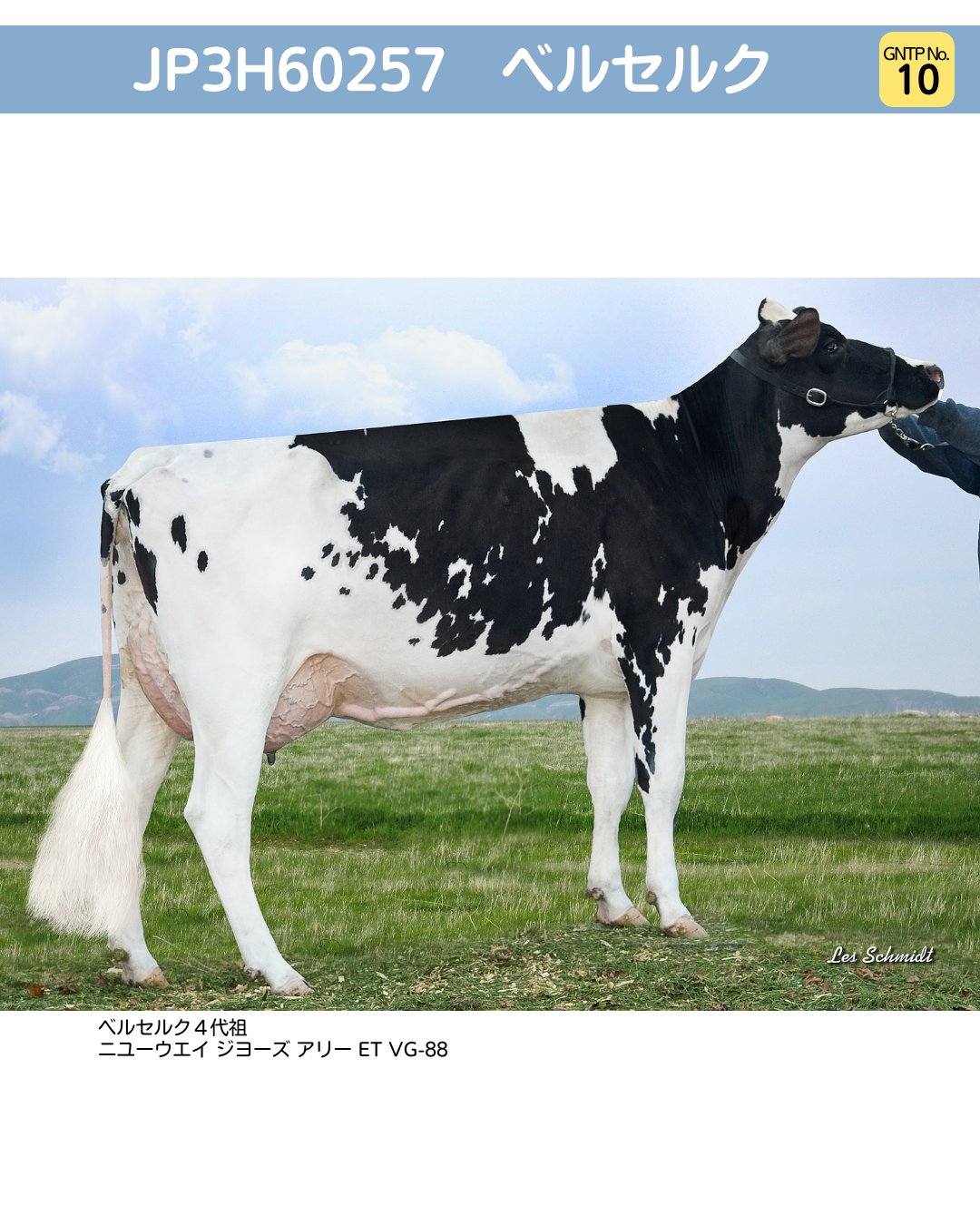 ジェネティクス北海道(GENETICS HOKKAIDO assoc.) on X