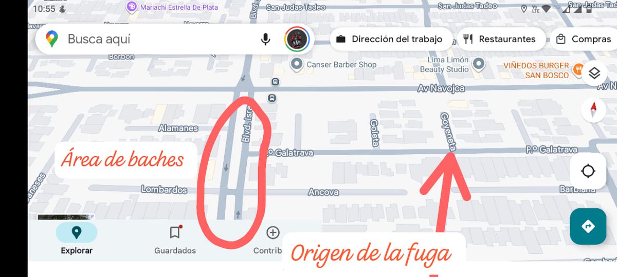 fernando tweet media