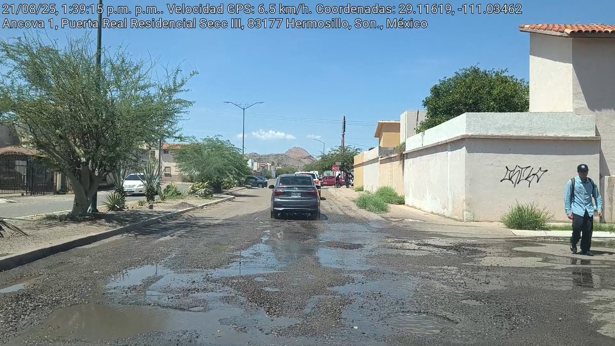 fernando tweet media