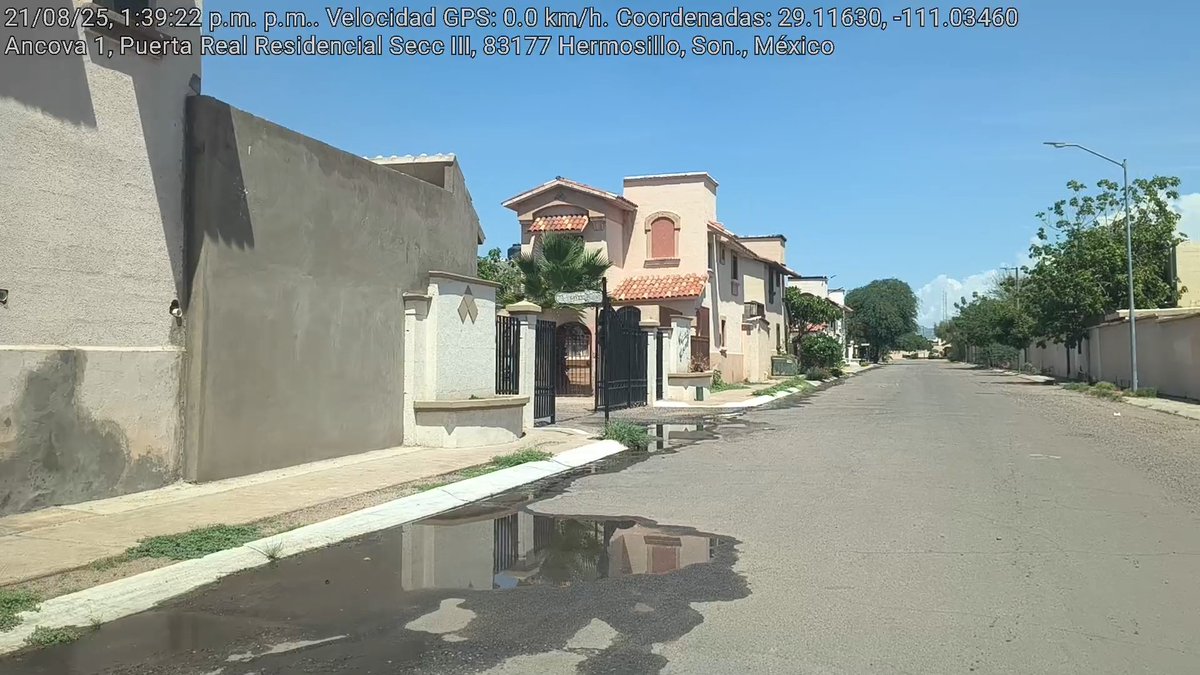 fernando tweet media