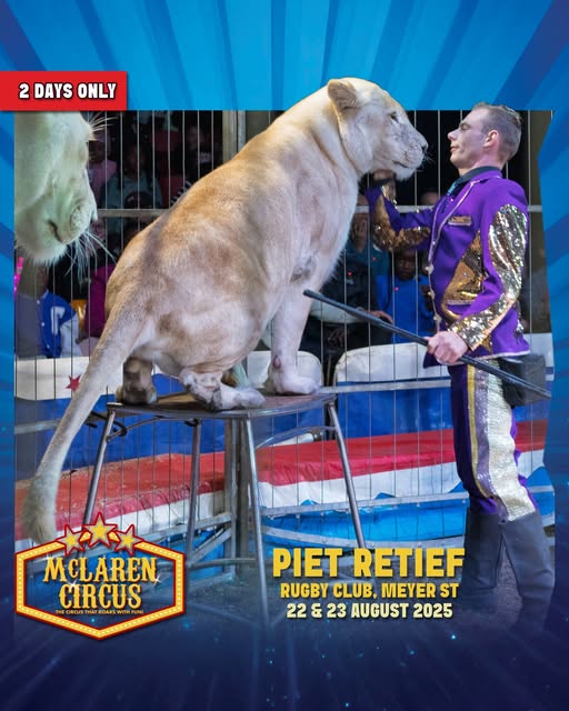 mclarenscircus's tweet photo. #McLarenCircus Show Times in #PietRetief Today are at 5pm & 7.30pm πͺππ¦π―π΄π©π©π€‘π₯³πβ€οΈ
#eMkhondo #GertSibande #KZN Coming Soon to #Volksrust #Ermelo #Mpumalanga
Galaxy Hangout Haval Minnie The General Holomisa #powerup Sundowns SAns
Buy Tickets Online: https://t.co/Y5XPaa2p2g https://t.co/ylEd3E4Cpi