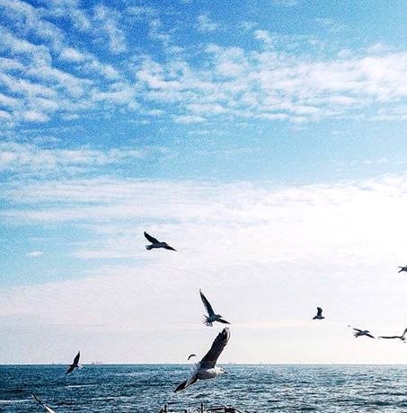 Катерина Галич tweet media