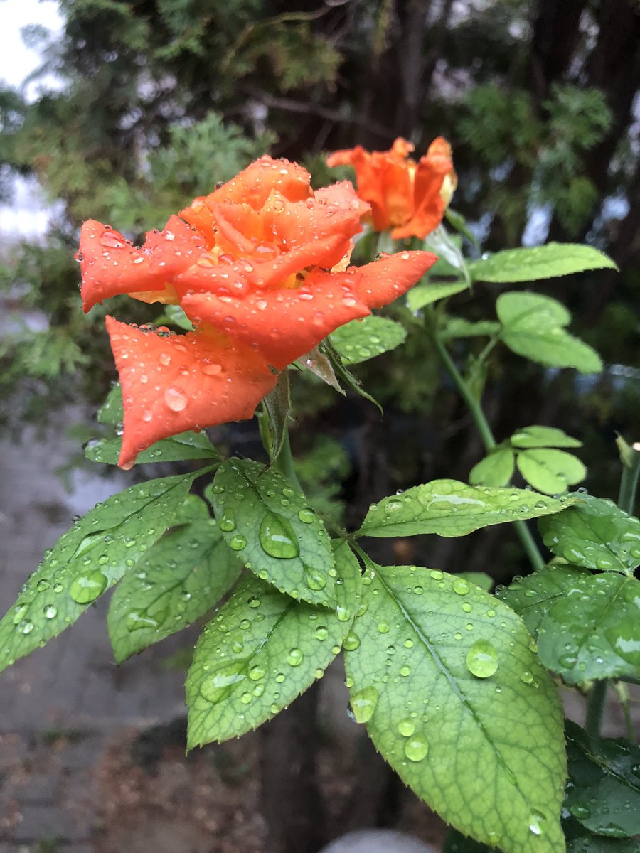 Добро утро :)