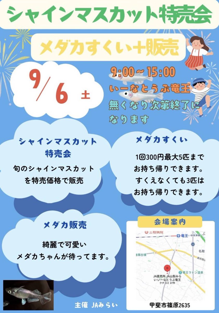 cZ60cena5raYXQq's tweet photo. 9月6日土曜日は山梨へお越しください😆

シャインマスカットの特売会とチーム山梨によるめだか掬い😆

ものくろさんは格安パッキングを大量に持ってくるそうだ🤩

自分も安めのパッキングとA-sめだかさんの最新めだか右近を連れていきます😆 https://t.co/cjP7FJawlo