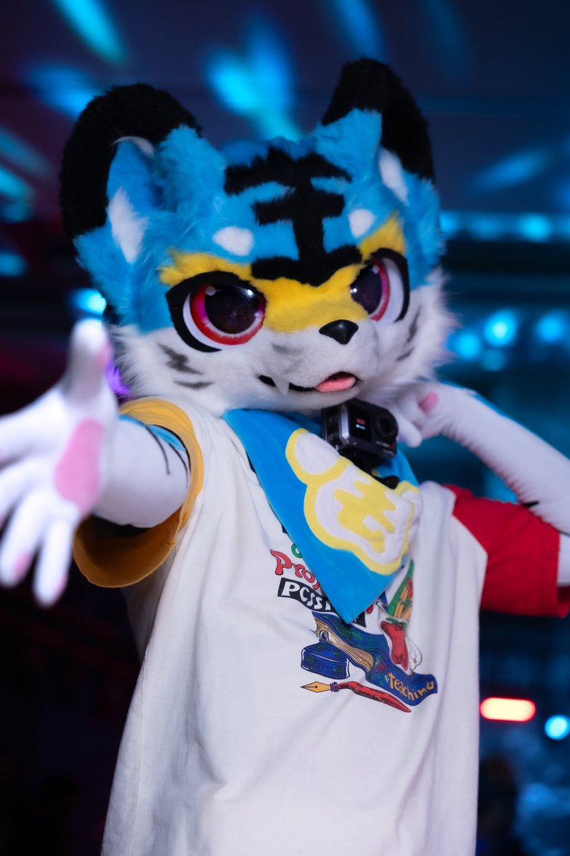 毛五
比起过往云烟，前方更值得期待！

📷:<a href="/furry_xiaolan/">小懒XIAOLAN_furry</a> 
#FursuitFriday