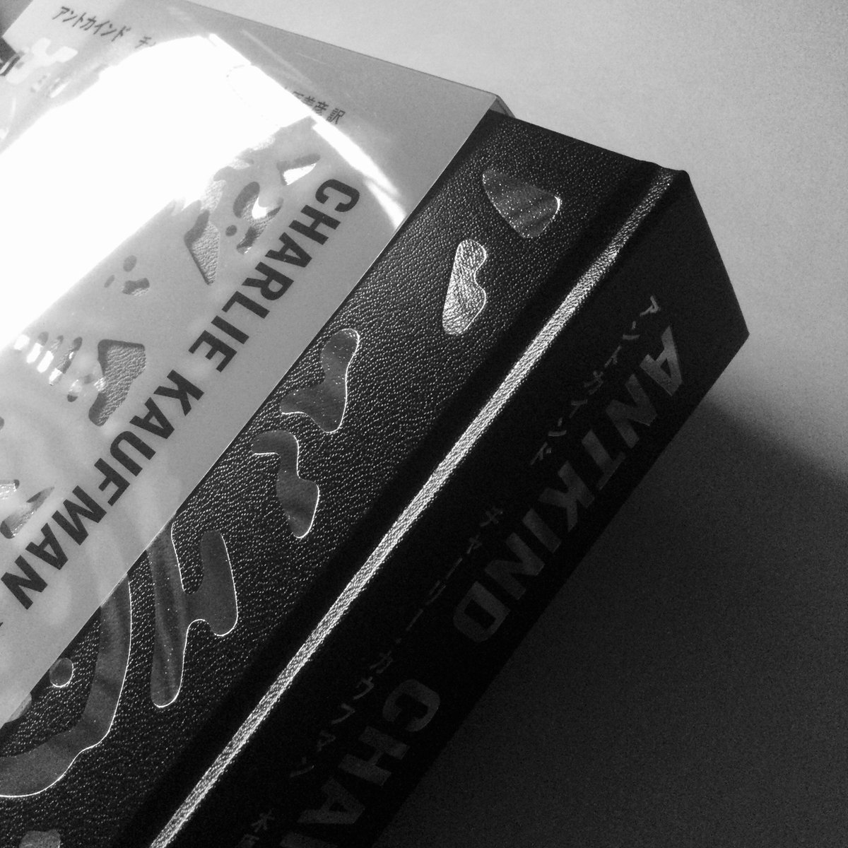 佐藤究 kiwamu sato on X