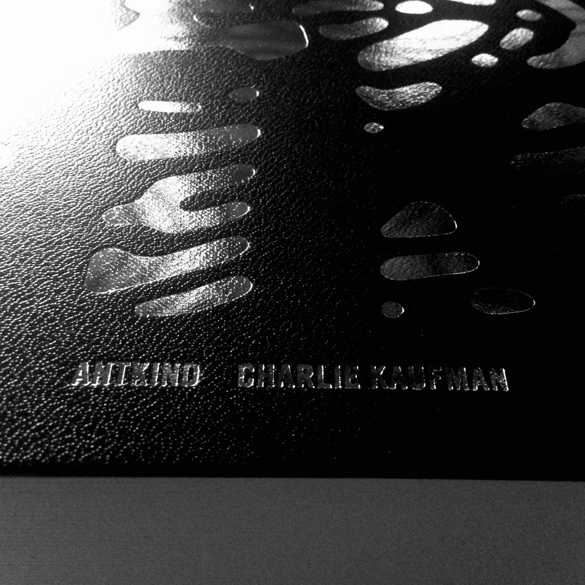 佐藤究 kiwamu sato on X