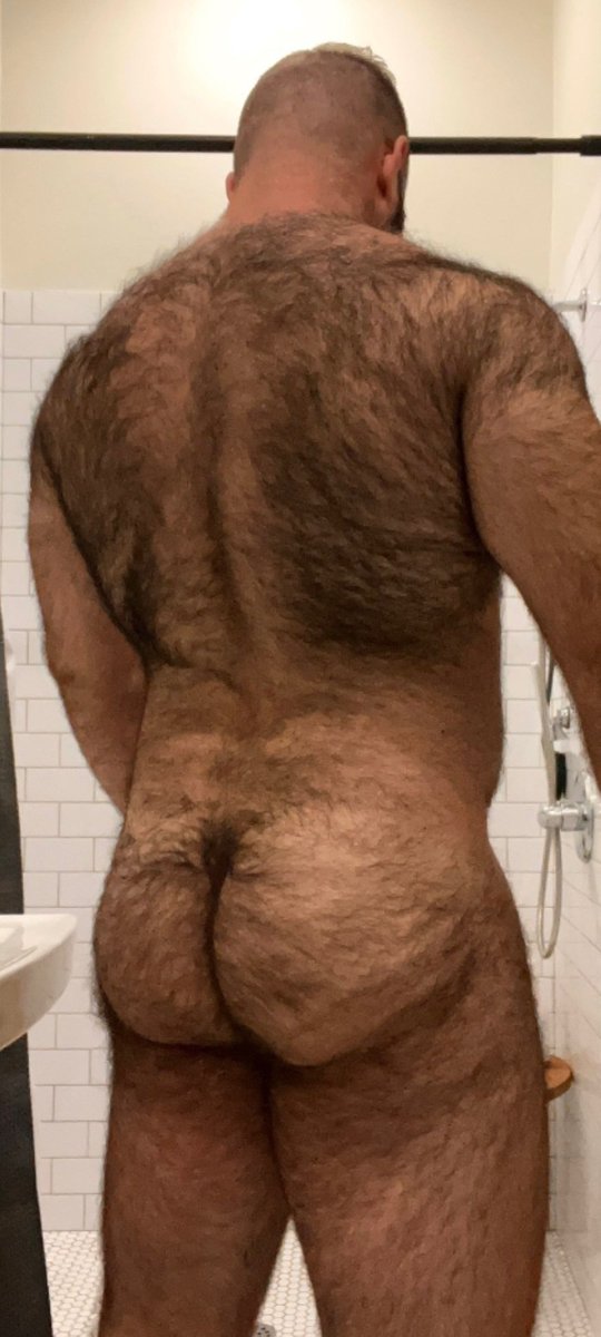 ursupetrus (@pedro_ledoux) on Twitter photo 