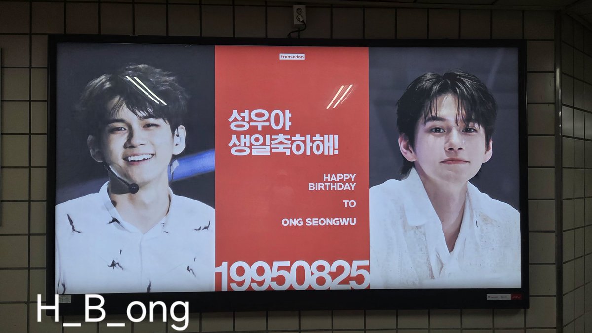 호옹보옹 tweet media