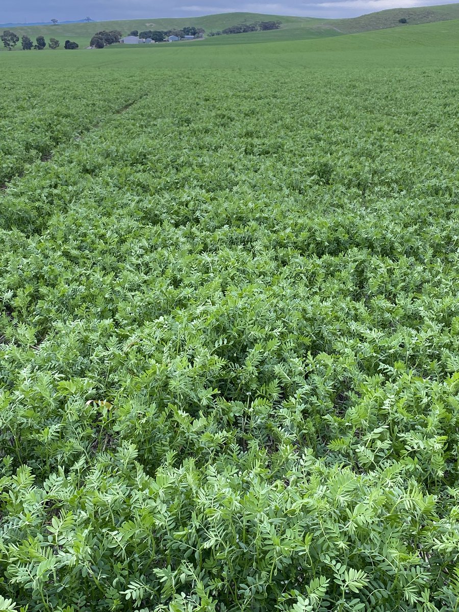 scott clark tweet media