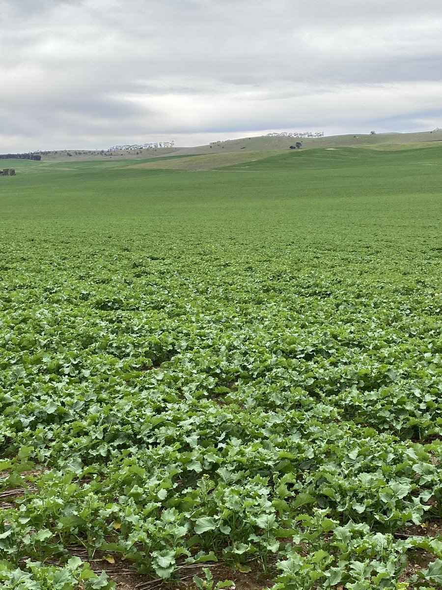 scott clark tweet media