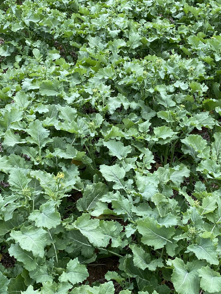 scott clark tweet media