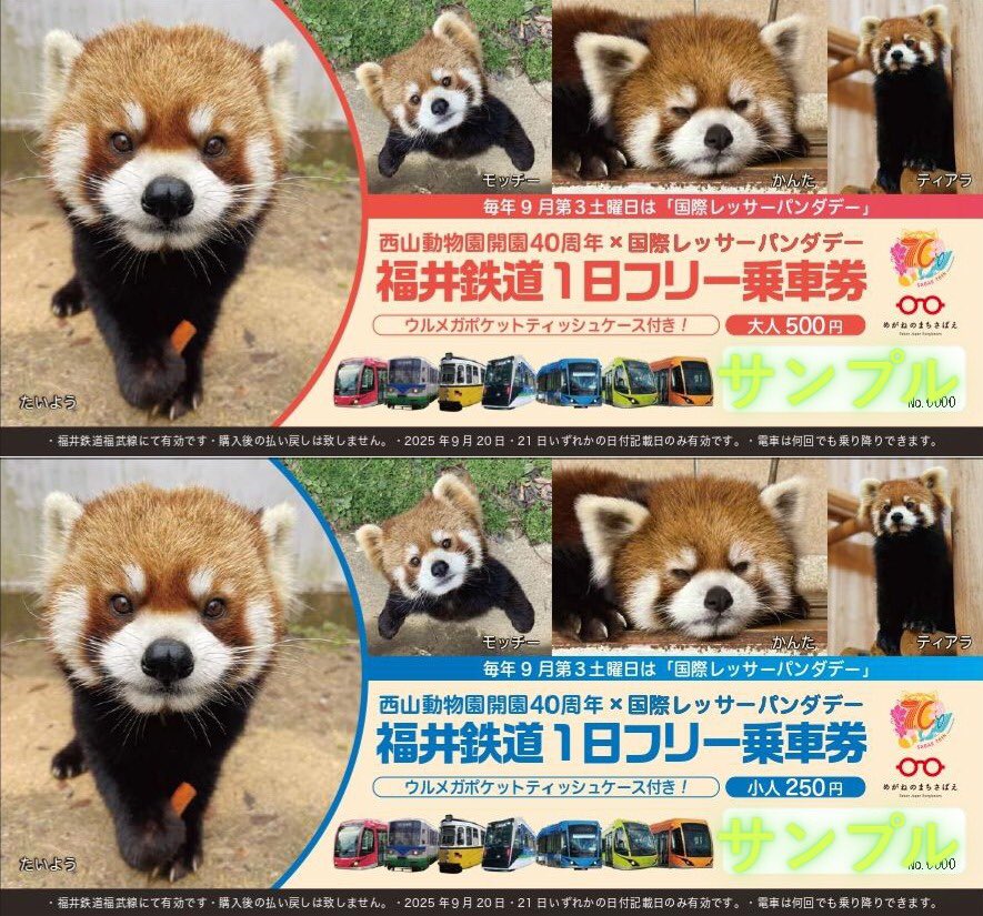 ⭐️切手コレクション 動物 列車⭐️ オリジナル フレーム切手「HAPPY PANDA 30th AnniversaryA」の