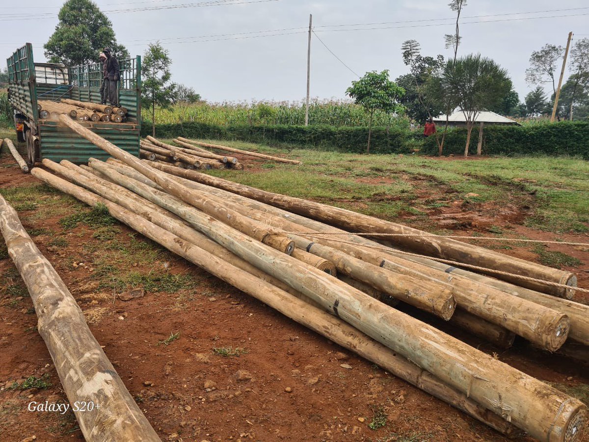 Poles have arrived for the Sikulu Electricity Maximization Scheme in Kongoni Ward under the #NuruGizani initiative. This project, funded through partnership between Likuyani NG-CDF and <a href="/RERECMashinani/">Rural Electrification and Renewable Energy Corp.</a> , will connect over 100 households to the national grid.