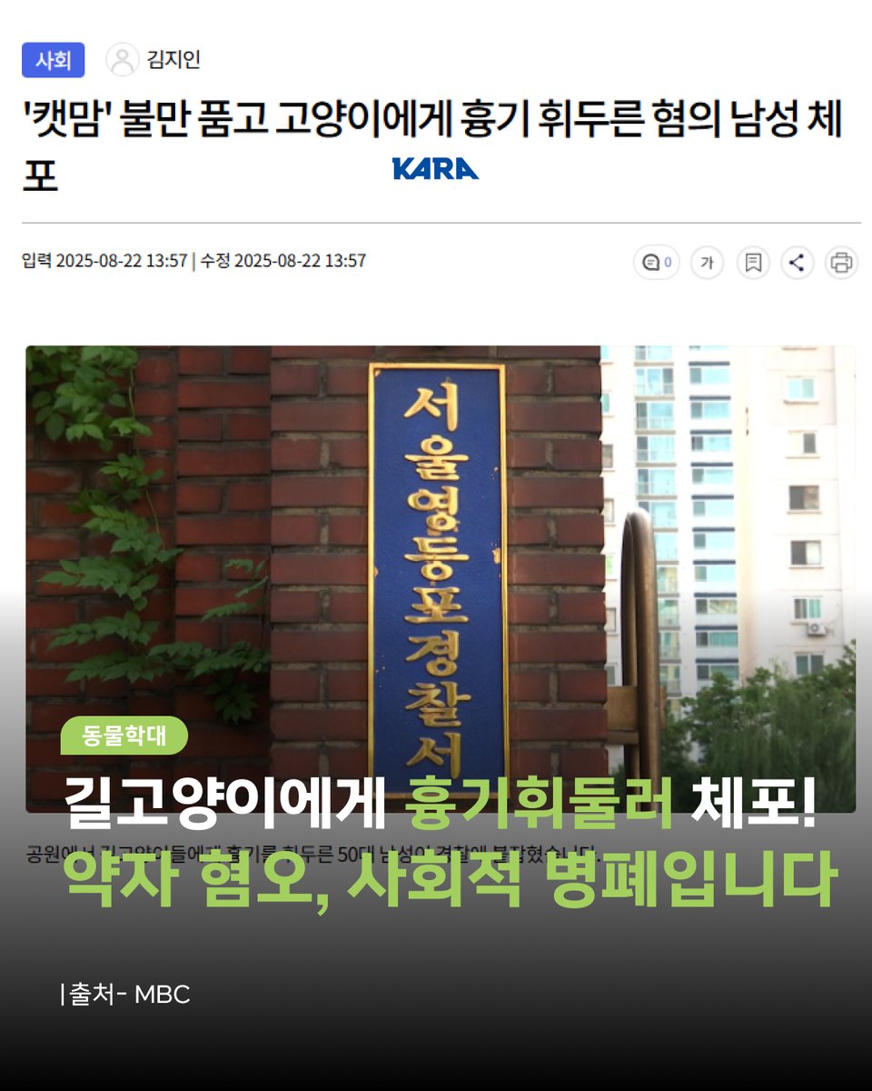 약자 혐오, 더 이상 방치할 수 없는 사회적 병폐입니다!

어제 서울 영등포구 한 공원에서 길고양이들에게 벽돌을 던지고 흉기를 휘두른 50대 남성 A씨가 경찰에 체포되었습니다.

기사에 따르면, 21일 오후 8시경 영등포경찰서는 현장에서 흉기를 소지한 A씨를 긴급 체포하고 범행에 사용된 흉기를
